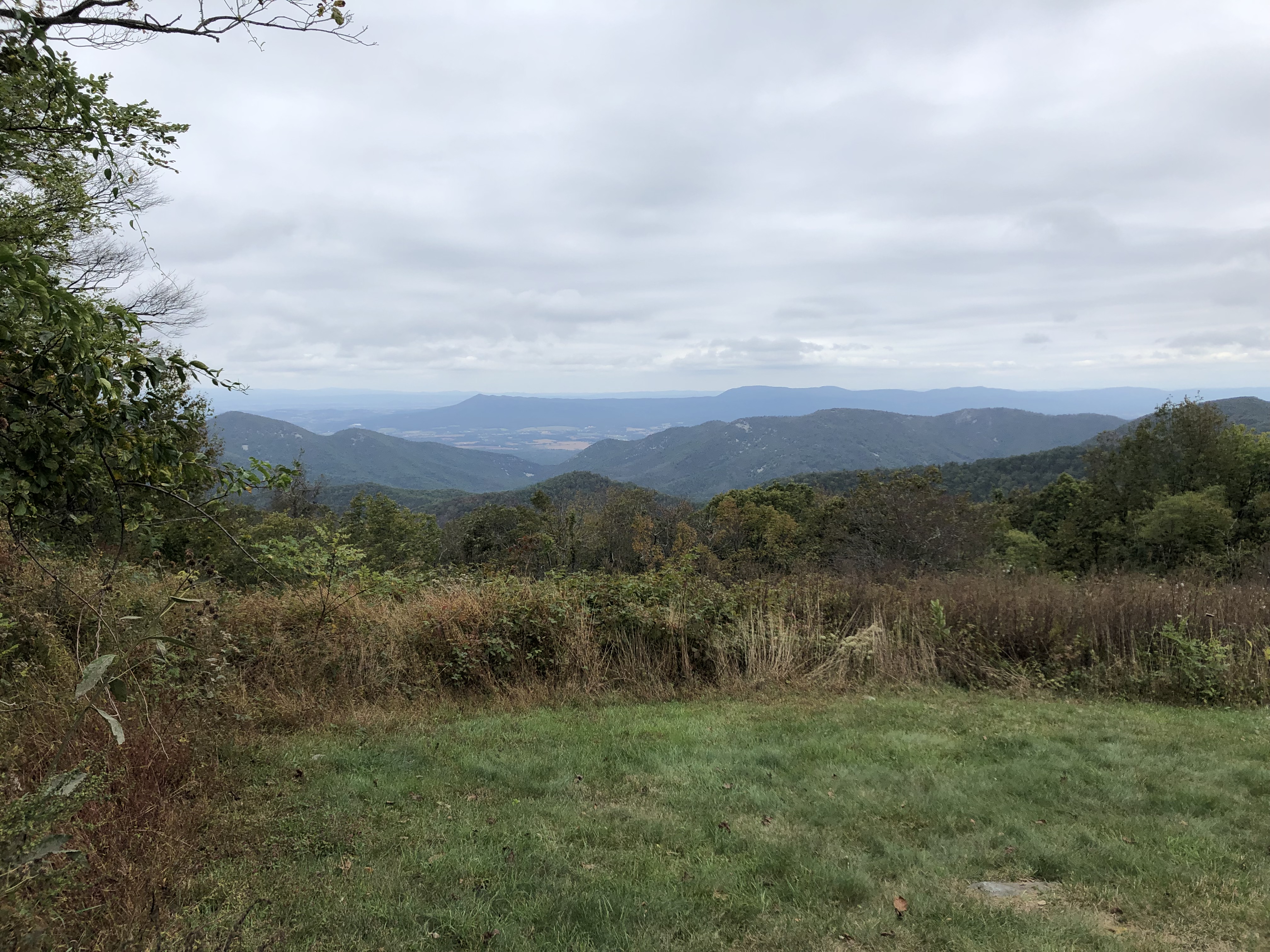 Shenandoah